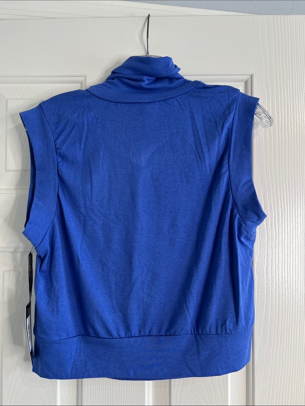 NWT Kiya Tomlin Amparo Blue wide leg pleated pants & sleeveless top set - Picture 5 of 14